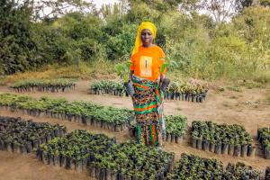 Solar Sister Entrepreneur Hawa Ibrahim Chora standing with her tree saplings in Tanzania.