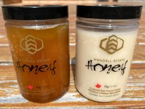 Rare late-harvest honeydew honey (left) shown beside premium Canadian prairie-blossom honey (right)