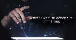 White label blockchain solution