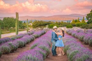 Romance Lavender guanajuato