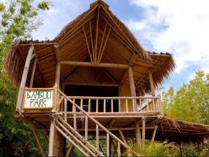 Bamboo Park Sunshine Coast Organic Nursery provides bamboo for screening, privacy, wildlife, poles and building