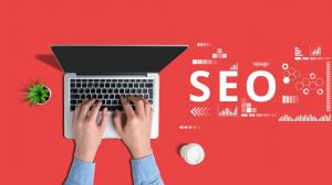 Everyone’s a Winner with SEO Tips from Actual SEO Media, Inc.