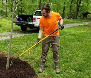 Jason Lenker planting a tree at Susquehannock State Park