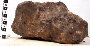 288-pound iron-nickel meteorite found in China in 1958 and believed to have fallen to Earth in 1516 A.D. ($4,125).