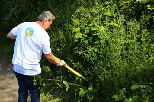 The Church of Scientology Seattle Environmental Task Force has spent thousands of hours maintaining Kinnear Park