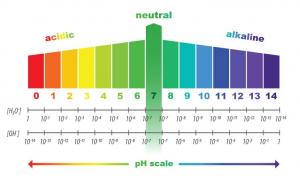 The pH scale is important