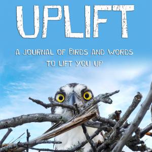 Uplift - A Journal of Birds and Words to Lift You Up.