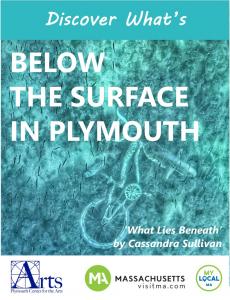 Discover What's Below the Surface in Plymouth