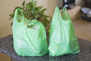 Plastic Bag And Sack Market Analysis