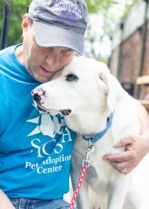Senior dog Razz enjoys being held and snuggling with a male SICSA volunteer. Grey Muzzle grants prevent at-risk senior dogs like Razz from being surrendered to shelters.