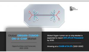 Organ Tumor-on-a-chip Market