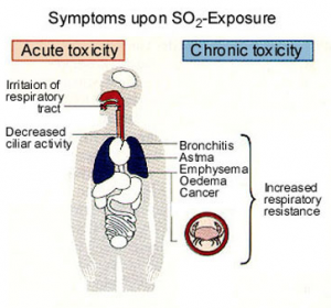 Ohio EPA has been pushing landfills to burn H2S which produces SO2 gas. SO2 causes headaches, nausea, tremors, convulsions and is hurtful to children with developing lungs. It can cause asthma, bronchitis and emphysema. 