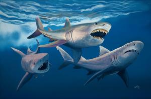 Hodaru Nundu's painting of Hemipristis serra preying on Otodus megalodon.