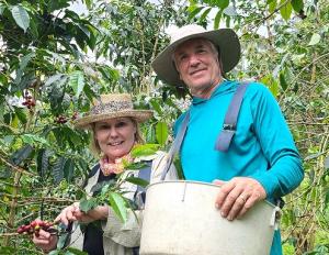 Steve and Joanie Wynn in coffee fields during harvest