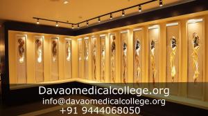 Davaomedicalcollege.org Vertical dissection of the human body