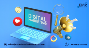 digital marketing market