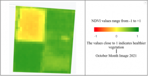 NDVI satellite image, helps identify overall health of crops
