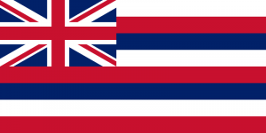 State of Hawaii flag in Anthem Pleasant's Toothbrush Pillow Press Release