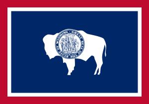 Drapeau de l'État du Wyoming dans le communiqué de presse de l'oreiller de brosse à dents d'Anthem Pleasant