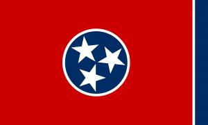 State of Tennessee flag in Anthem Pleasant's Toothbrush Pillow Press Release