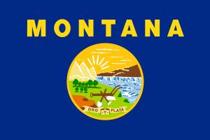 State of Montana flag in Anthem Pleasant's Toothbrush Pillow Press Release