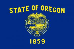 State of Oregon flag in Anthem Pleasant's Toothbrush Pillow Press Release