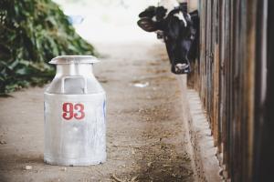 Farm Milk Cooling Tanks