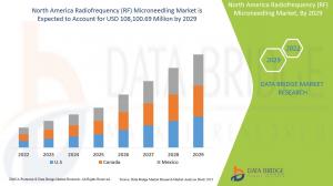 North America Radiofrequency (RF) Microneedling Market