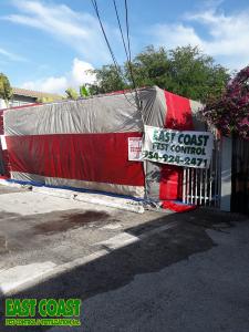 Fort Lauderdale Pest Control Services