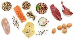 Protein Ingredients Market Report