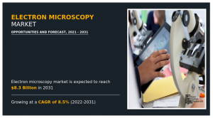 Electron Microscopy Market Rising New Enterprise Alternatives for Buyers | Allied Market Analysis (Up to date PDF)
