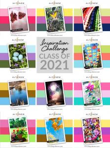 The Year In Review Challenge provides 11 inspiring palettes, designs, and themes that participants can choose from.