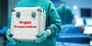 Global Organ Preservation Market
