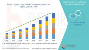 Migraine Drugs Market-2022