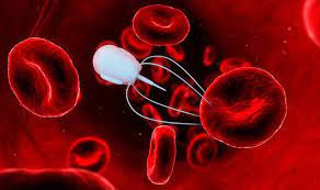 Global Nanotechnology in Medical Devices Market