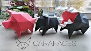 Carapaces is a hybride 3D puzzle mixing puzzle, origami and DIY sculptures
