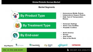 Robotic Nurses market seg