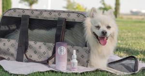 Zenwag offers the top 9 reasons why pet owners use CBD products for their pets