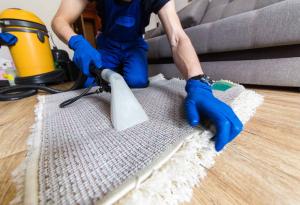 Professional Area Rug Cleaning services