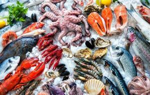 Organic Seafood Market Size