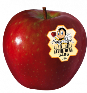 A ripe SugarBee apple with honeycomb-shaped PLU sticker