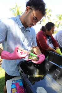 Participants practice applying antibiotics to diseased corals at Reef Futures 2022