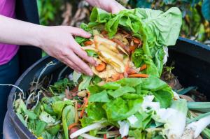 Food Waste Management Market