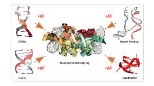 Nucleosome Power Flipons; Flipons Power the Local Assembly of Cellular Machines