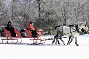 Fun in a sleigh at the Ranch