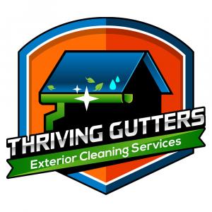 Thriving Gutters Utilizes Modern Tools for Gutter Cleaning in Roseville, CA