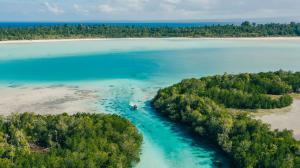 Now, a once-in-a-generation opportunity to conserve and sustainably develop one of the most intact coral atoll ecosystems by acquiring interests in PT. Leadership Islands Indonesia (LII) is available for your bid price. 