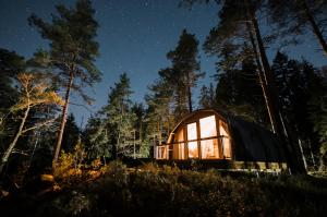Hyvä elämä paranee jatkuvasti – Suomi on kestävän metsäpaon kärjessä