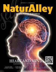 NaturAlley is a lifestyle health and wellness magazine.