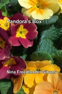 Front cover of Pandora's Box